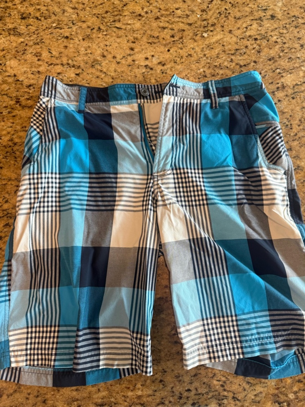 Lu Lu Lemon Blue Plaid Men's Casual Shorts